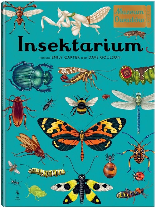 Insektarium Muzeum Owadów