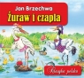 Żuraw i czapla Klasyka polska Jan Brzechwa