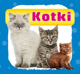 Kotki Harmonijka mała - Myślak Monika
