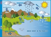 Puzzle Obieg wody
