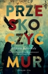 Przeskoczyć mur