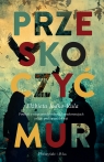 Przeskoczyć mur Elżbieta Jodko-Kula