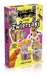 Quiz Zwierzaki
