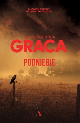 Podniebie - Agnieszka Graca