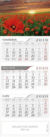 Kalendarz 2020 Trójdzielny Makowa łąka CRUX