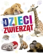Dzieci zwierząt - Opracowanie zbiorowe