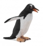 Pingwin gentoo