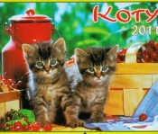 Kalendarz 2011 WL09 Koty rodzinny