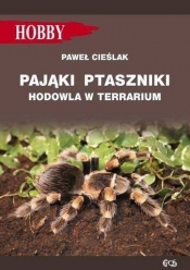 Pająki ptaszniki w terrarium - Marcin Jan Gorazdowski