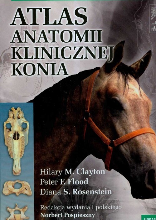 Atlas anatomii klinicznej konia