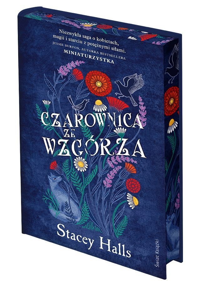 <img src='https://webimage.pl/pics/897/2/d97883685628971.jpg' style='height:440px' /> Czarownica ze wzgórza (edycja kolekcjonerska)
