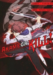 Akame ga Kill! Tom 14