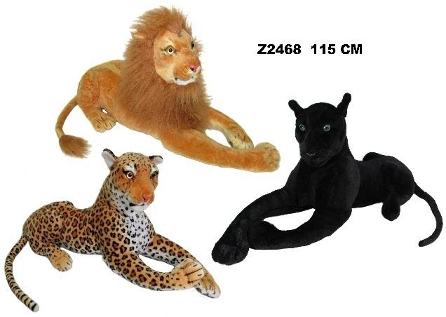 Dzikie koty 115cm MIX