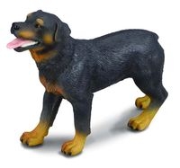 Pies rasy rottweiler L (88189)