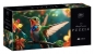 Puzzle 250: Colourful Nature 8 - Humming Bird