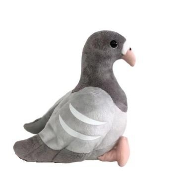 Gołąb szary 23cm