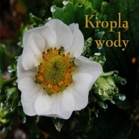 Ziarenka 11 Kropla wody - Magdalena Beńko