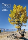 Kalendarz 2014 Drzewa