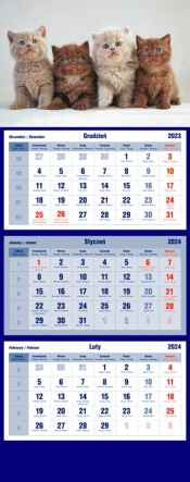Kalendarz trójdzielny 2024: Koty (T-105T-10)