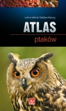 Atlas ptaków  Przybyłowicz Anna, Przybyłowicz Łukasz