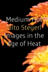 Medium Hot: Images in the Age of Heat Hito Steyerl