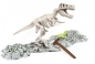 Naukowa Zabawa: Skamieniałości - T-Rex (60889)