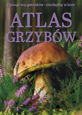 Atlas grzybów - Praca zbiorowa