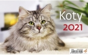 Kalendarz 2021 biurkowy Koty HELMA