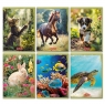 Zeszyt Animals A5/16k gładki, 1 szt