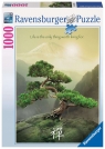 Puzzle 1000: Drzewo Zen (19389)
