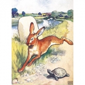 Karnet B6 z kopertą The Hare and the Tortoise