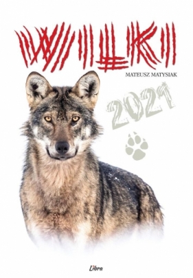 Kalendarz 2021 Wilki (wersja biała) - Mateusz Matysiak
