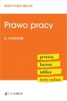 Prawo pracy. Pytania. Kazusy. Tablice. Testy online