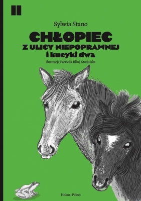 Chłopiec z ulicy Niepoprawnej i kucyki dwa - Sylwia Stano