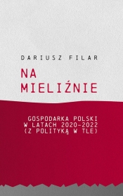 Na mieliźnie. Gospodarka Polski w latach 2020-2022 (z polityką w tle) - Filar Dariusz
