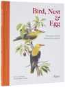 Bird, Nest & Egg Walter De Raedt