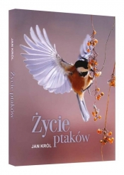 Życie ptaków - Jan Król