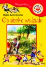 Co słonko widziało. Lektury dla klas 1-3