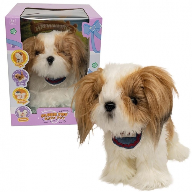 <img src='https://webimage.pl/pics/900/8/d6901440128900.jpg' style='height:440px' /> Piesek Shih Tzu