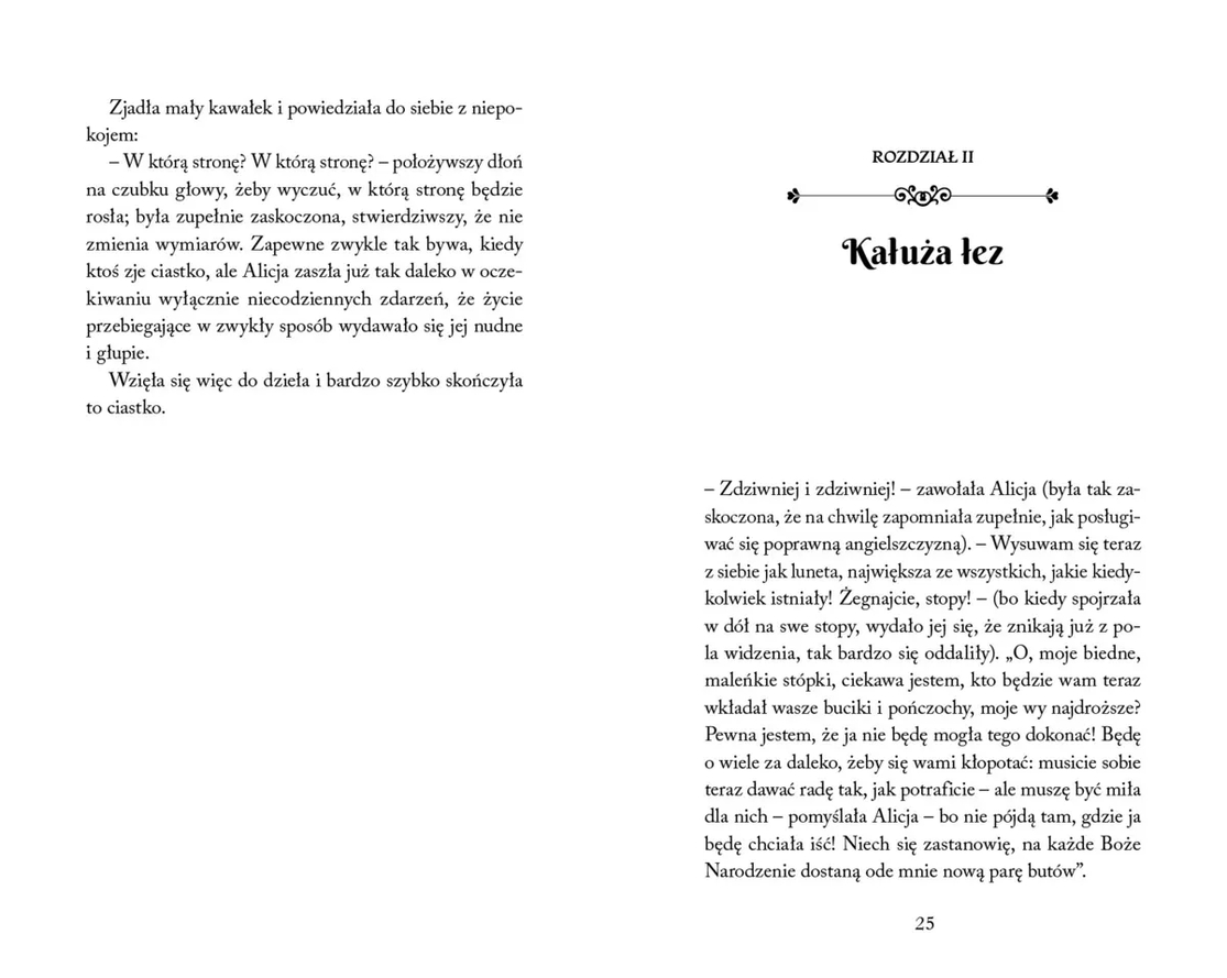 <img src='https://webimage.pl/pics/900/8/d9788368758900-2.png'>