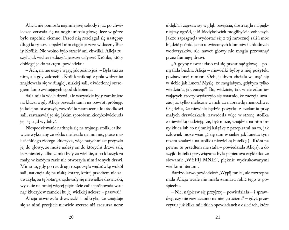 <img src='https://webimage.pl/pics/900/8/d9788368758900-4.png'>