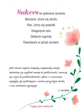 Young Murphy. Moja książka pełna sukcesów - Paulina Płatkowska
