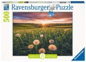 Ravensburger, Puzzle 500: Łąka (16990)