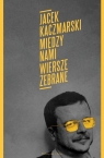 Między nami Wiersze zebrane Jacek Kaczmarski