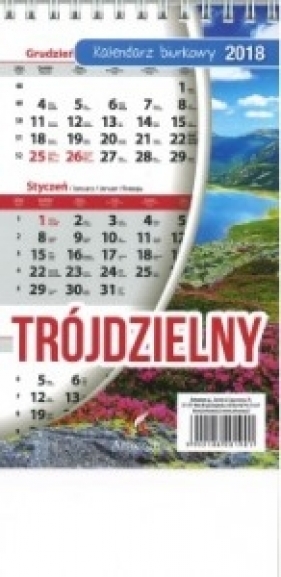 Kalendarz biurkowy trójdzielny Pionowy 11x18 2018