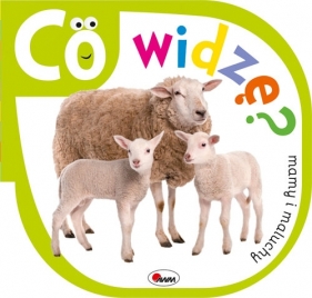 Co widzę/ Mamy i maluchy - Piotr Kozera