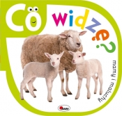 Co widzę/ Mamy i maluchy - Piotr Kozera