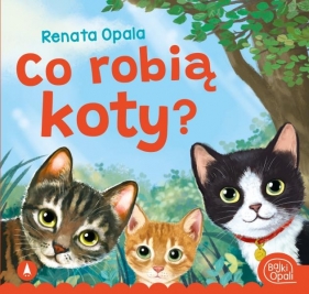 Co robią koty? - Opala Renata, Wasilewski Kazimierz