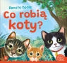 Co robią koty? Opala Renata, Wasilewski Kazimierz