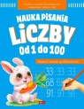 Nauka pisania Liczby od 1 do 100 null null